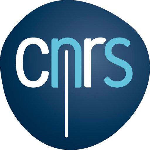 Logo CNRS - Centre National de la Recherche Scientifique