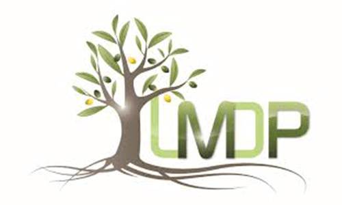 Logo Laboratoires L et M