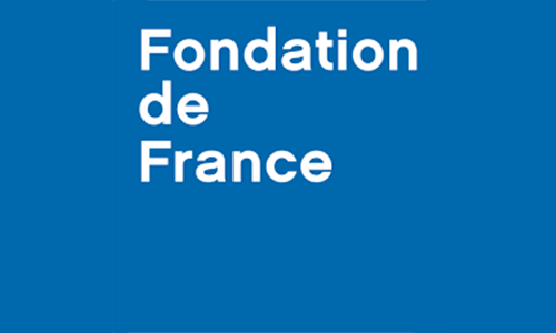 Logo Fondation de France - Dlgation Provence-cte-d'Azur 